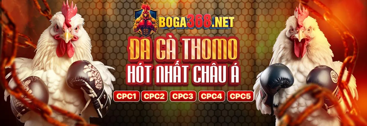 Bí Quyết Thắng Lớn Đá Gà KU888 Nổ Hũ
