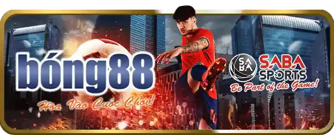 Cá cược thể thao sôi động